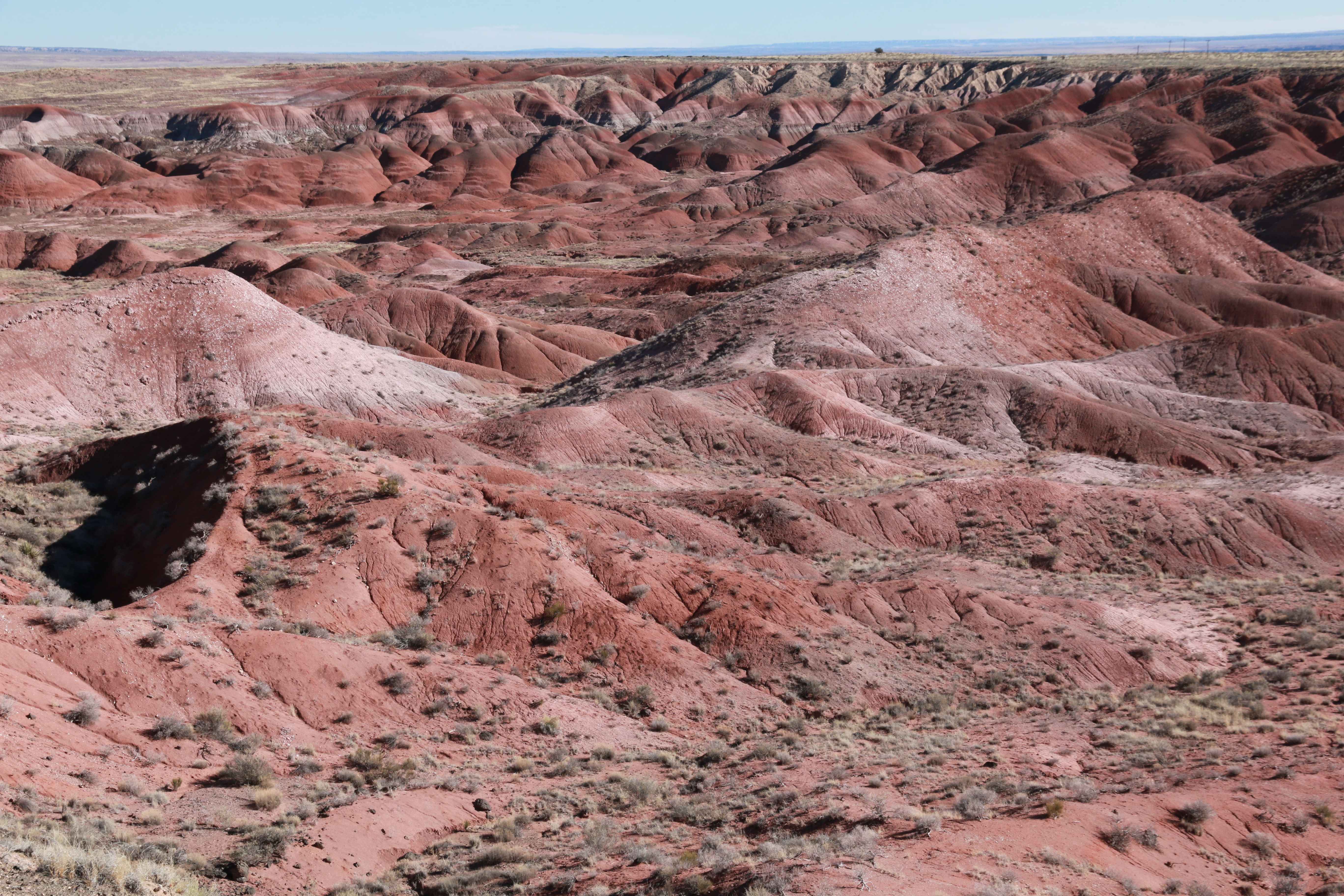 Petrified Forest NP